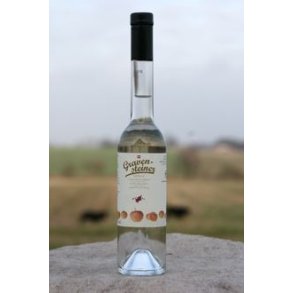 Humbel Gravensteiner (Gr�sten), �kologisk