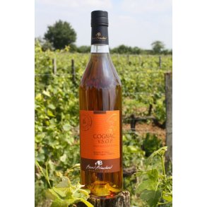 Cognac VSOP Brard Blanchard 70 cl. kologisk