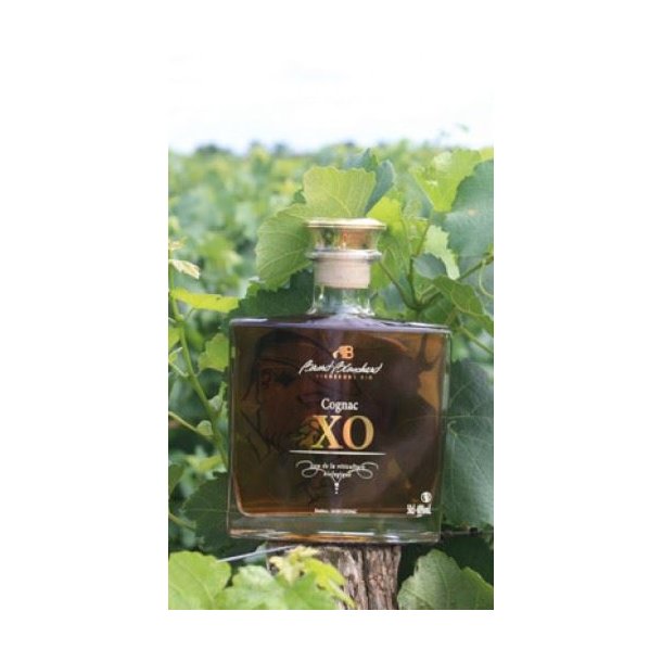 Cognac XO Brard Blanchard 50 cl. Unik Cognac fra 1986 !! kologisk
