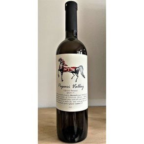 Papari Valley Rkatsiteli 3 Qvevri Terraces 2020 Orange, Georgien, kologisk