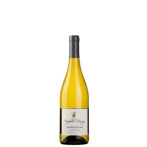 Sancerre AOC 2023 Les Caillottes Vignoble Dauny Loire kologisk